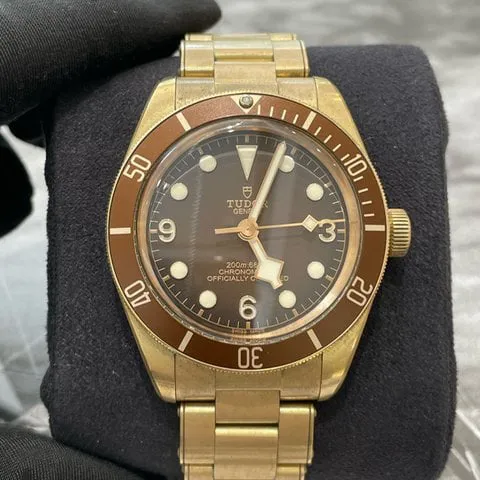 Tudor Black Bay M79012M-0001 39mm Bronze Brown