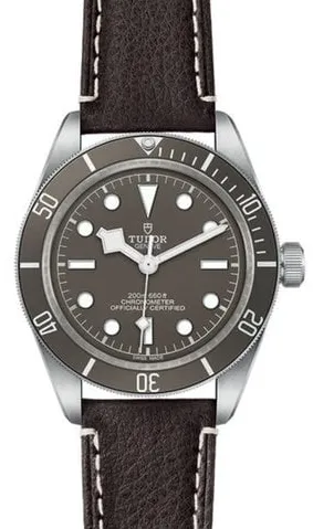 Tudor Black Bay 58 79010SG-0001 39mm Silver Gray