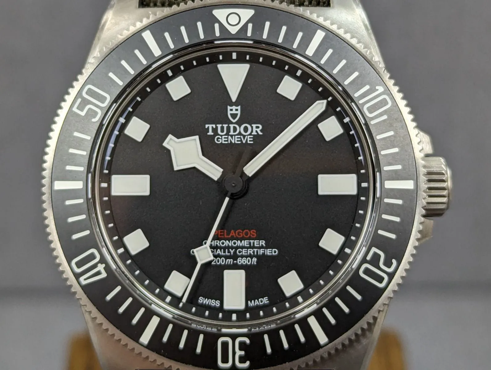 Tudor Pelagos M25717N-0001 42mm Titanium 1