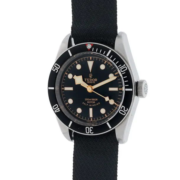 Tudor Black Bay 79220N nullmm