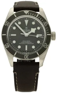 Tudor Black Bay M79010SG-0001 Silver Beige