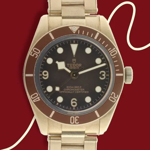 Tudor Black Bay 58 79012M 39mm Bronze