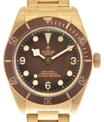 Tudor Black Bay M79012M-0001 39mm Bronze Brown