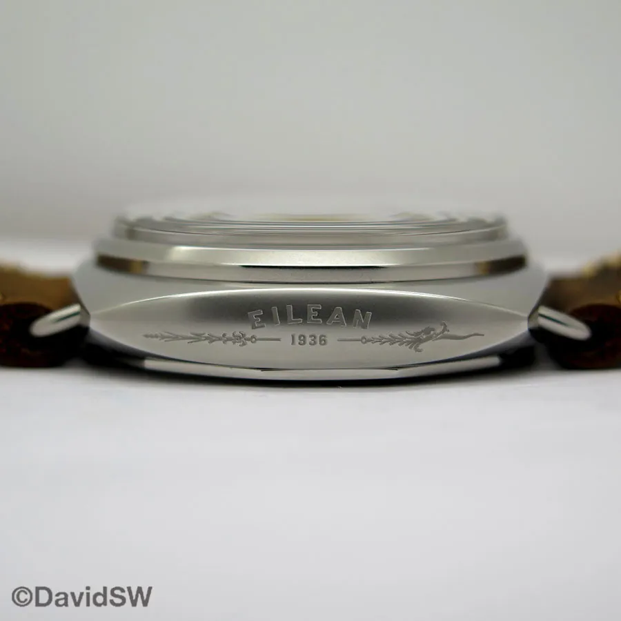 Panerai Radiomir PAM 1243 45mm Stainless steel Brown 6