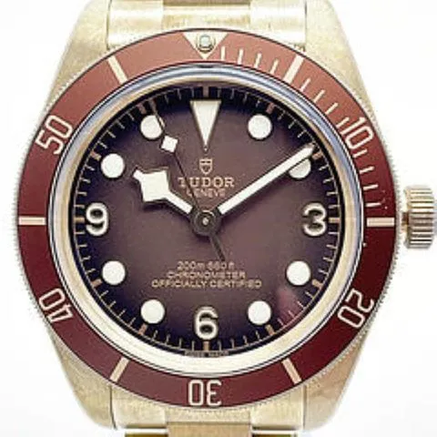 Tudor Black Bay M79012M-0001 39mm Bronze Brown