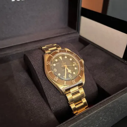 Tudor Black Bay M79012M-0001 39mm Bronze Brown