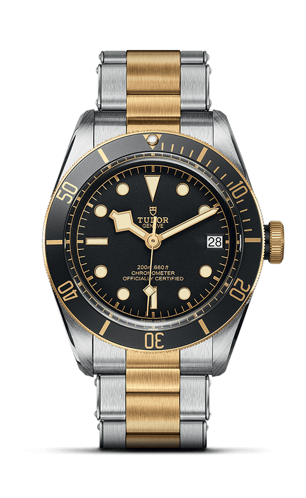 Tudor Black Bay M79733N 41mm Steel