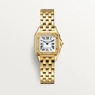 Cartier Panthère de Cartier WJPN0048 Yellow gold Silver