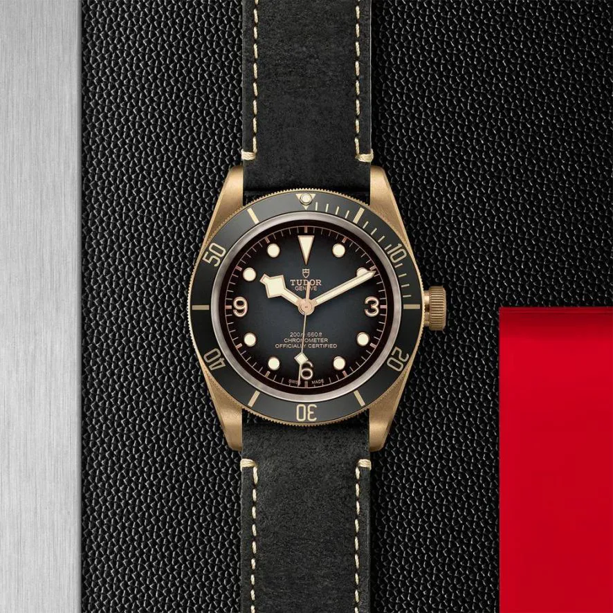 Tudor Black Bay Bronze M79250BA-0001 43mm Bronze Grey 2