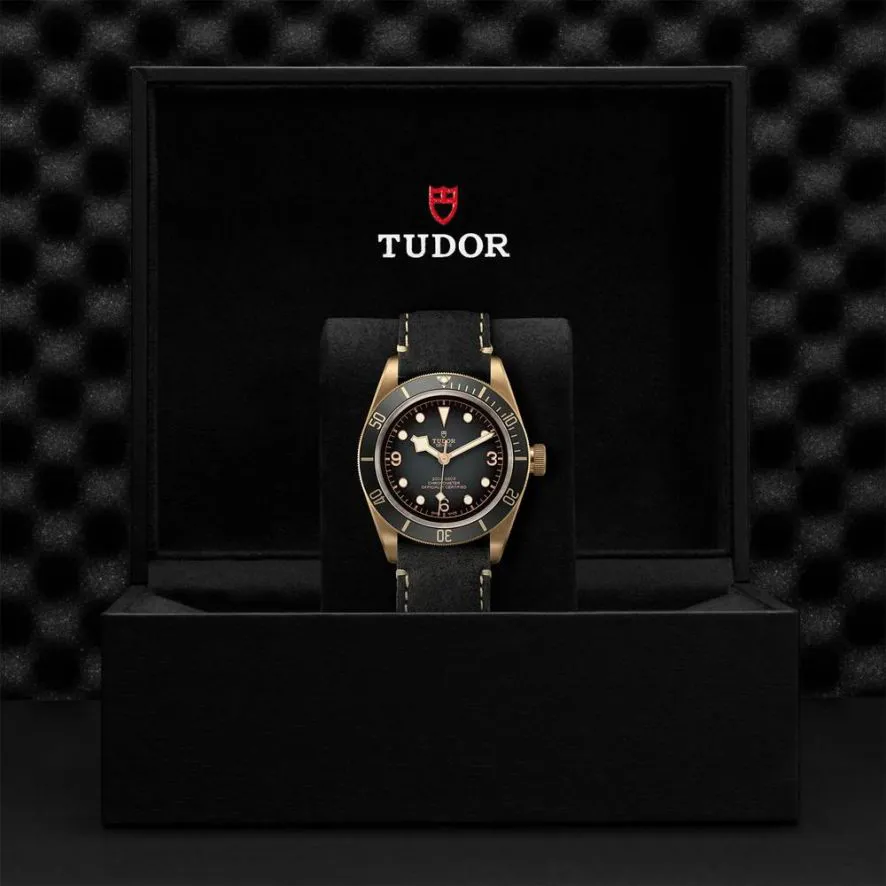 Tudor Black Bay Bronze M79250BA-0001 43mm Bronze Grey 3