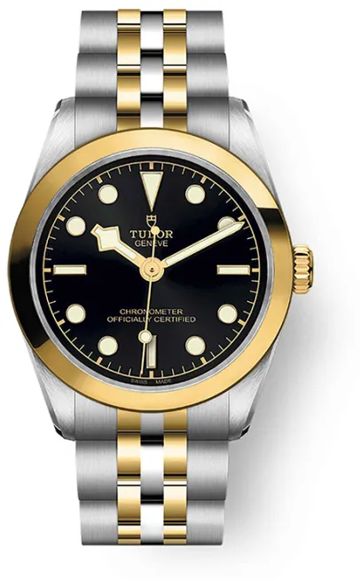 Tudor Black Bay M79603-0001 31mm Stainless steel Black