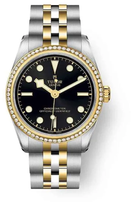 Tudor Black Bay M79613-0001 31mm Stainless steel Black