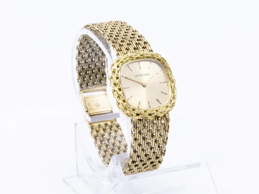 Juvenia Yellow gold Silver