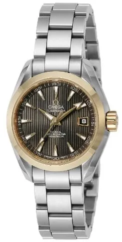 Omega Aqua Terra 231.20.30.20.06.004 Yellow gold and Stainless steel Gray