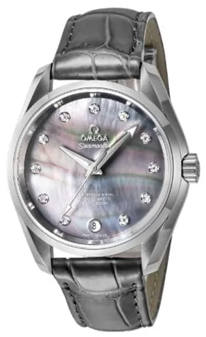 Omega Aqua Terra 231.13.39.21.57.001 38.5mm Stainless steel Gray