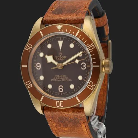 Tudor Black Bay Bronze 79250BM 41mm Bronze Brown