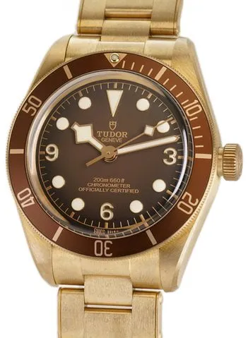 Tudor Black Bay M79012M-0001 39mm Bronze Brown