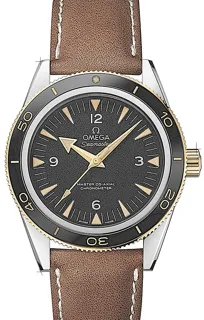 Omega Seamaster 233.22.41.21.01.001 | Yellow gold