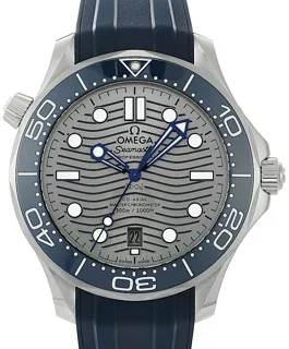 Omega Seamaster 210.32.42.20.06.001 Stainless steel Grau