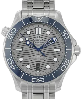 Omega Seamaster 210.30.42.20.06.001 | Stainless steel