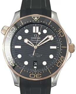 Omega Seamaster 210.22.42.20.01.002 Rose gold Schwarz