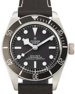 Tudor Black Bay 58 79010SG Silber Grau