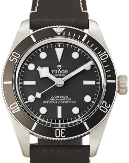 Tudor Black Bay 58 79010SG Silver Gray