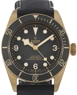 Tudor Black Bay 79250BA Bronze Black