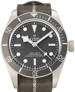 Tudor Black Bay 58 79010SG Silver Brown