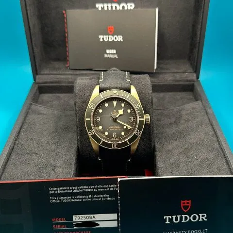 Tudor Black Bay 79250BA 43mm Bronze Gray