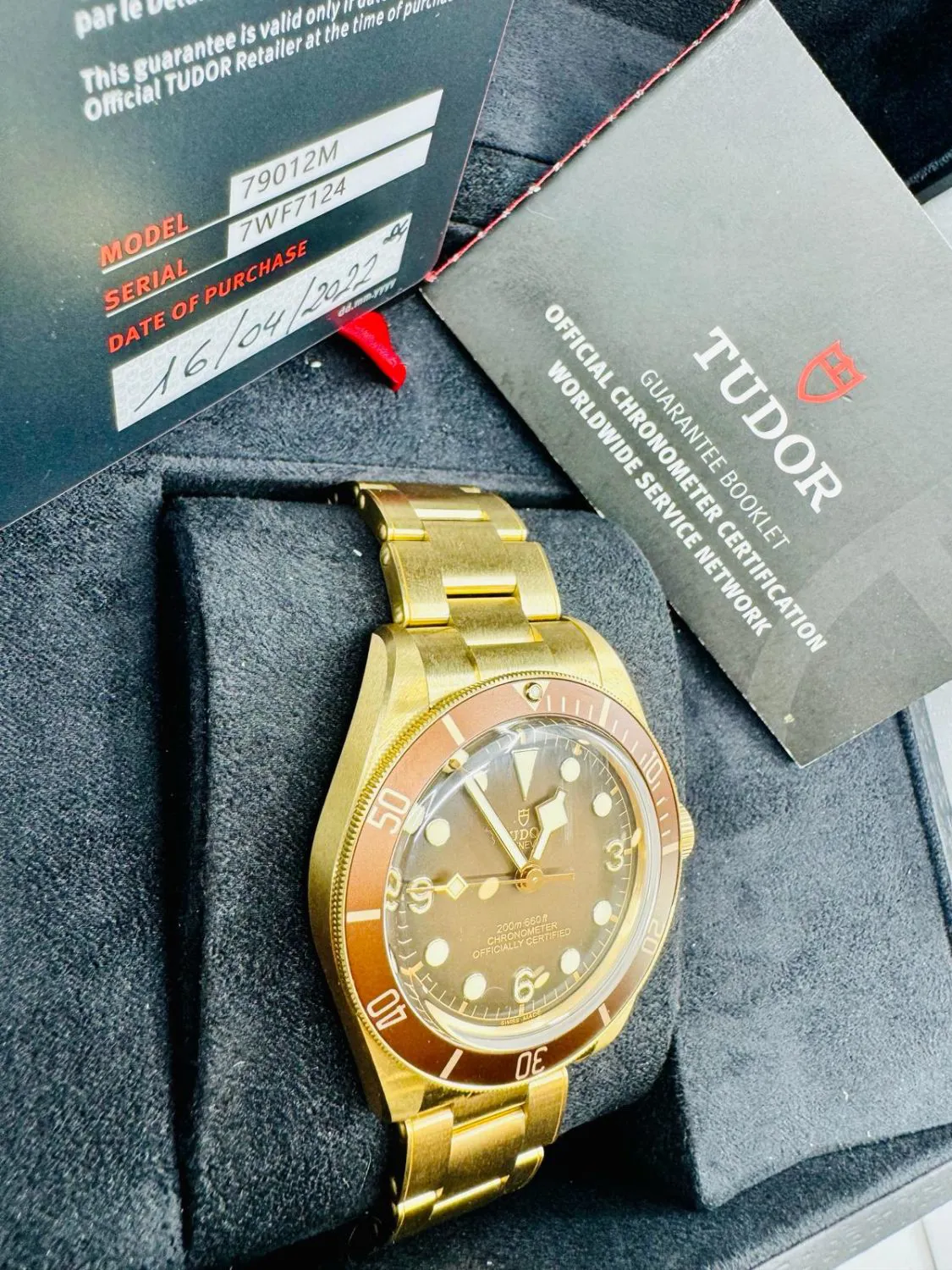 Tudor Black Bay 58 79012M 39mm Bronze Bronze 2