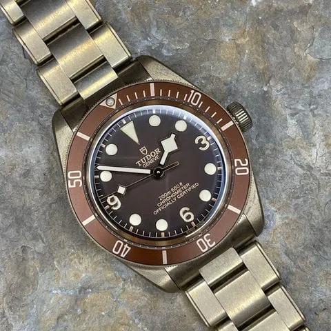 Tudor Black Bay M79012M-0001 39mm Bronze Brown