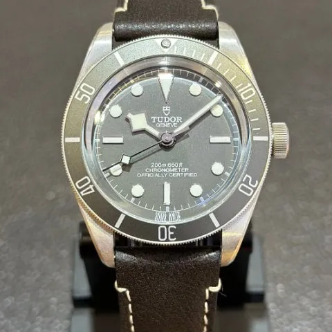 Tudor Black Bay M79010SG-0001 39mm Silver Grey