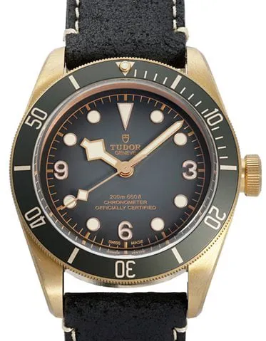 Tudor Black Bay 79250BA-0001 43mm Bronze Gray