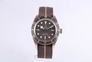 Tudor Black Bay 58 79010SG Silver