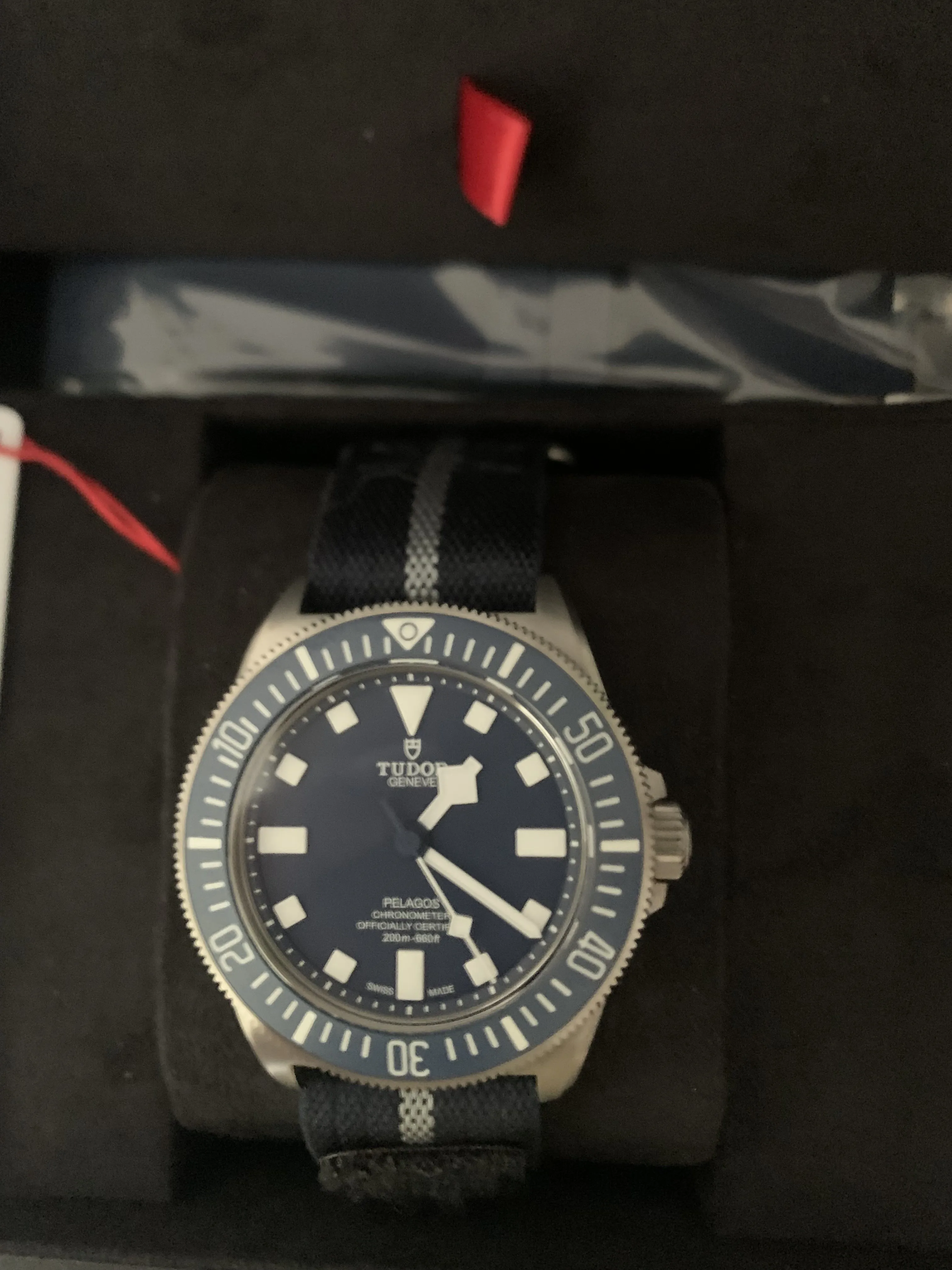 Tudor Pelagos 25707B/23 42mm Titanium Blue 2