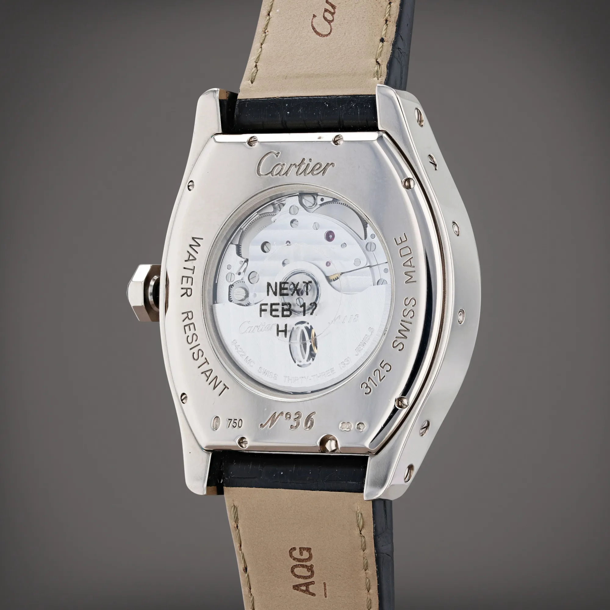 Cartier Tortue W1580048 40mm White gold Gray 4