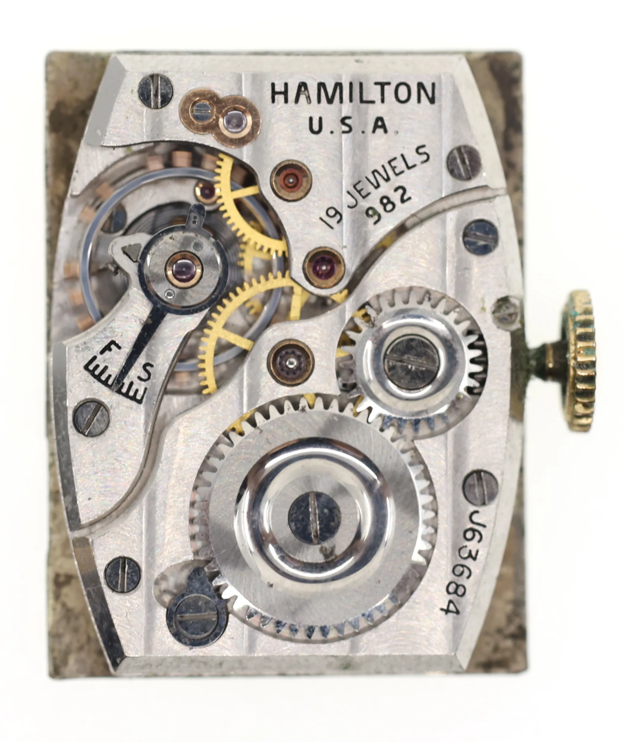 Hamilton Hamilton 23mm Yellow gold 5