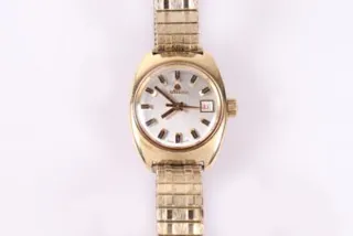 Rado 7019 Yellow gold Silver