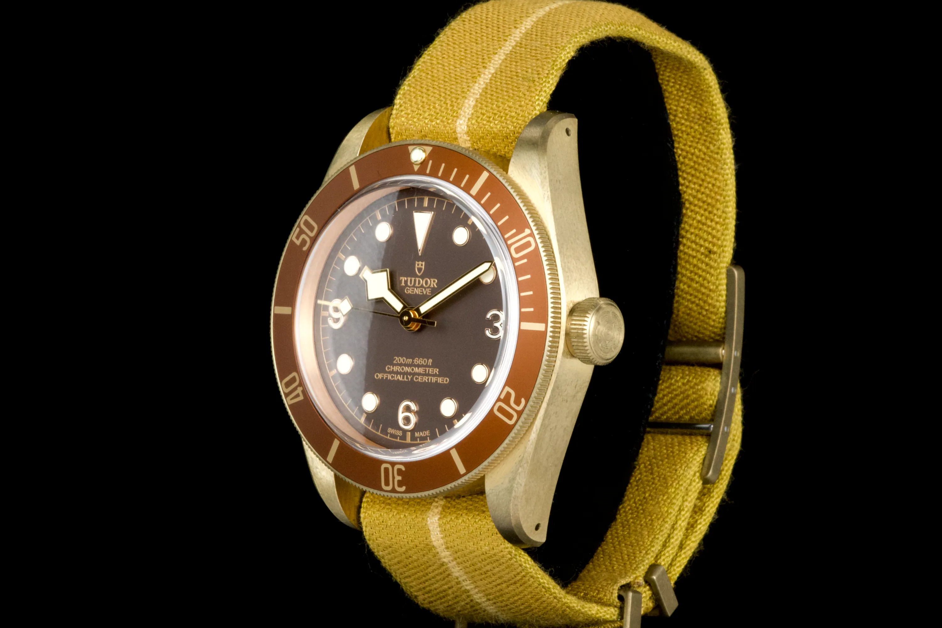 Tudor Black Bay Bronze 79250BM 43mm Bronze