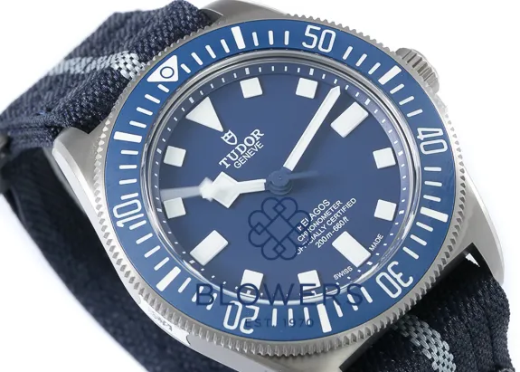 Tudor Pelagos 25707B 42mm Titanium Blue 4