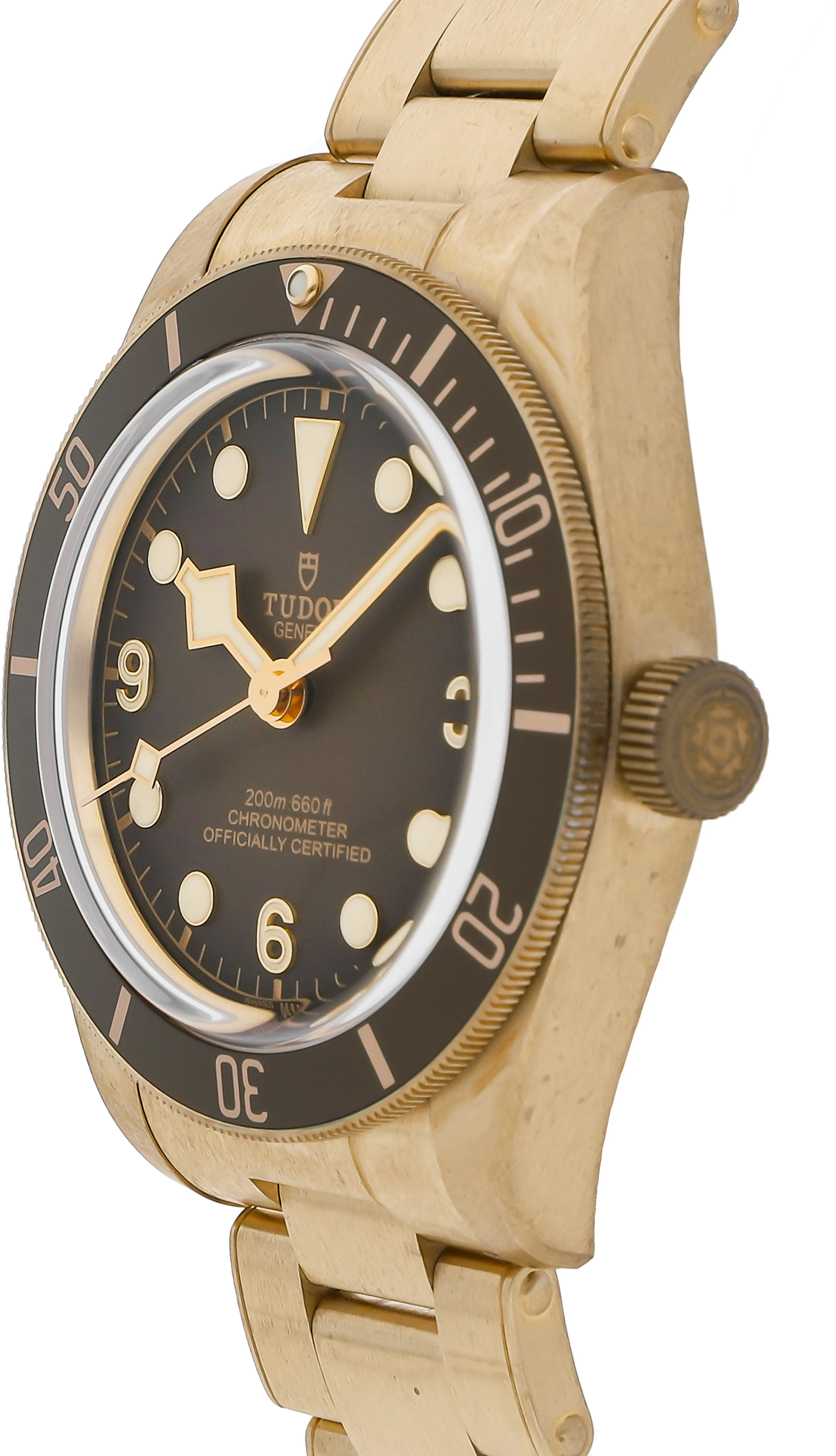 Tudor Black Bay 79012M-0001 39mm Bronze Brown 1