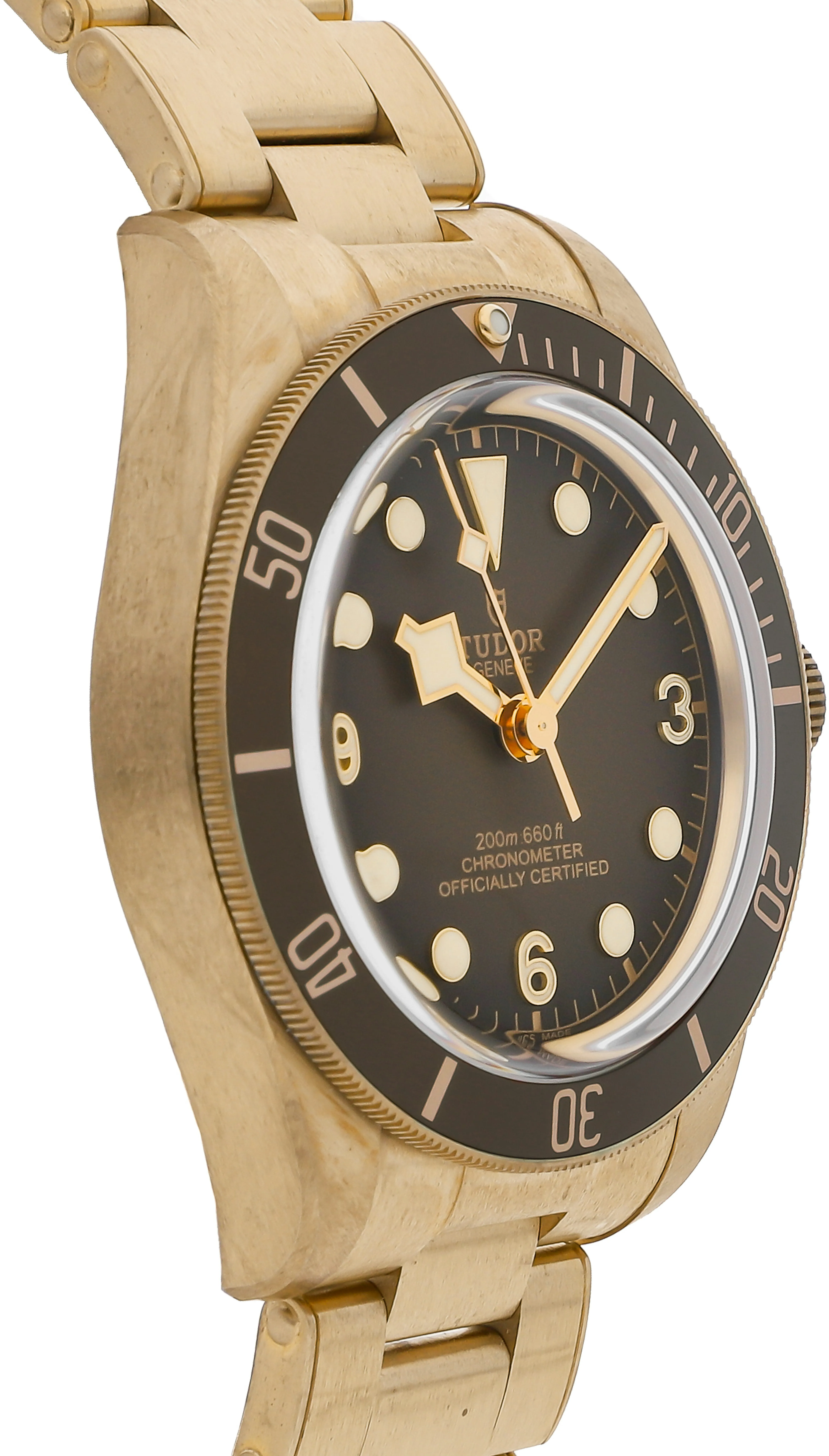 Tudor Black Bay 79012M-0001 39mm Bronze Brown 2