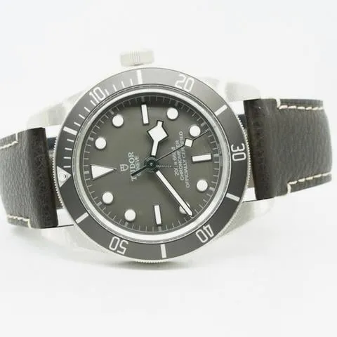 Tudor Black Bay 58 79010SG-0001 39mm Silver Gray