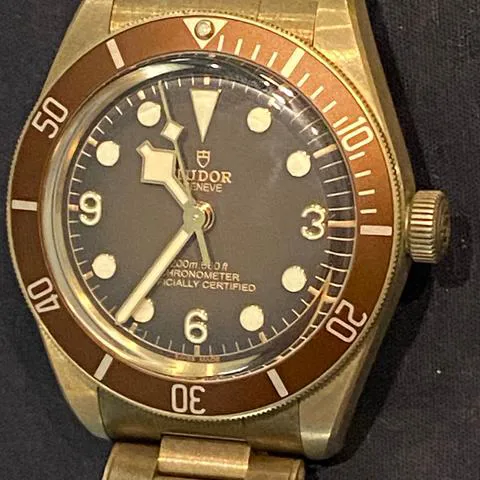 Tudor Black Bay M79012M-0001 39mm Bronze Brown