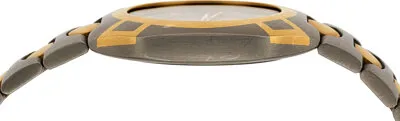 Omega Seamaster 31.5mm Yellow gold and titanium Gray 2