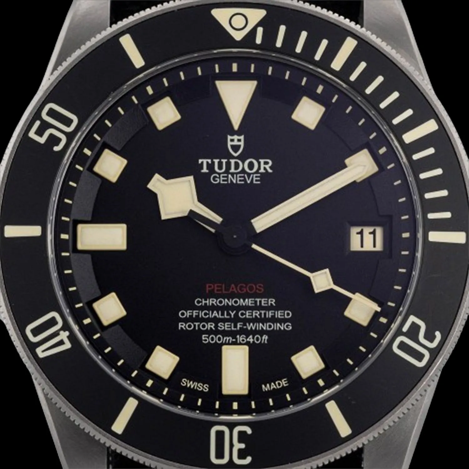 Tudor Pelagos 42mm Titanium 4