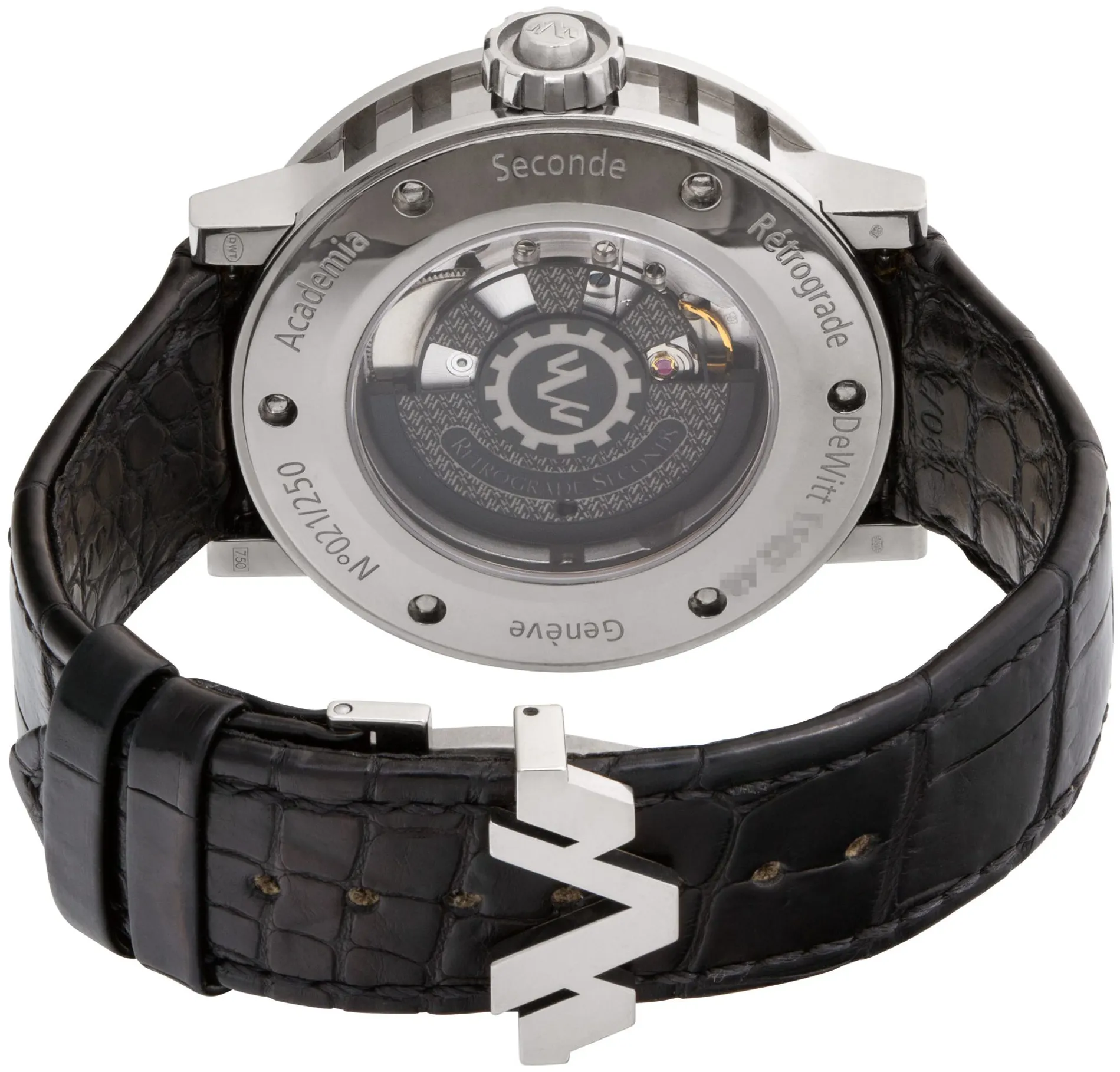 Dewitt Retrograde 1102.48 42mm White gold 3