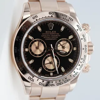 Rolex Cosmograph Daytona 116505-0008 Everose gold Black and Pink