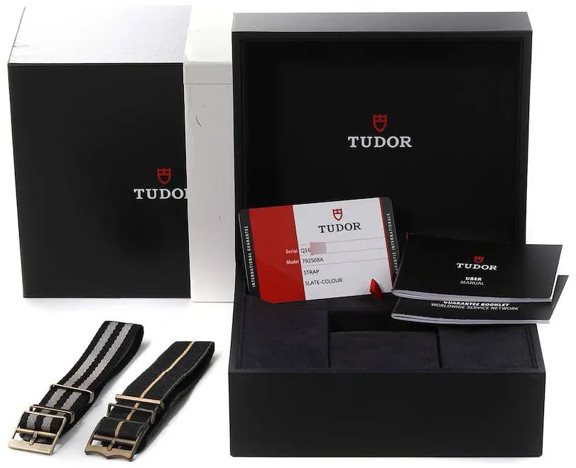 Tudor Black Bay Bronze M79250BA-0001 43mm Bronze Gray 1